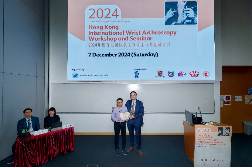 HK Wrist Course 2024- Seminar  - 73 of 257